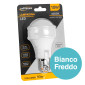 Immagine 3 - Universo Lampadina LED E27 10W 12V/24V Bulb A60 Goccia SMD - mod. A60-DC-N / A60-DC-F