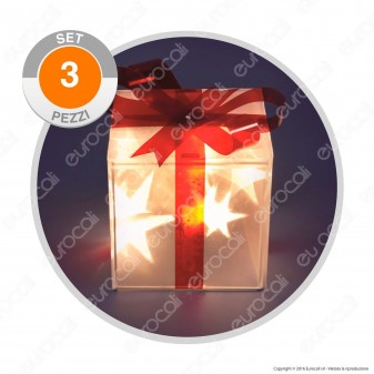 Set 3 Pacchi Regalo Semitrasparente con LED Bianco Caldo a Batterie -