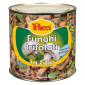 Pucci Funghi Trifolati in Olio - Latta da 2Kg [TERMINATO]
