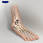 Immagine 5 - Hansaplast Protective Supporto da Caviglia Dynamic Pain Guard Taglia Unica Regolabile - Confezione da 1 Fascia Elastica
