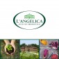 Immagine 2 - L'Angelica Spirulina Integratore Alimentare Ricostituente -