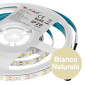 Immagine 3 - V-Tac VT-2835 Striscia LED Flessibile 60W SMD Monocolore 120 LED/metro 12V - Bobina da 5 metri - SKU 21324