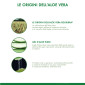 Immagine 4 - Equilibra Buon Aloe Vera Integratore per la Depurazione con Succo Concentrato di Pesca - Flacone da 500ml
