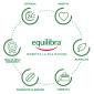 Immagine 3 - Equilibra Bronze Control Integratore a Base di Vitamina A C E con Rame ed Estratti Vegetali - 30 Capsule [TERMINATO]