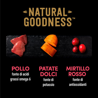 Cibo per Cani con Pollo Patate Piselli Mirtillo Cesar Natural Goodness