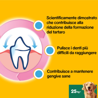 Acquista Pedigree Dentastix Large per l'igiene orale del Cane