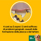 Immagine 4 - Pedigree Dentastix Daily Fresh Oral Care Large per l'igiene orale del cane - Confezione da 21 Stick