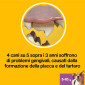 Immagine 7 - Pedigree Dentastix Daily Fresh Oral Care Small per l'igiene orale del cane - Confezione da 35 Stick