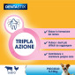 Immagine 4 - 210 Pedigree Dentastix Small per l'igiene orale del cane - 3 Confezioni da 70 Stick + 30 Dentastix Medium in OMAGGIO
