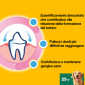Immagine 4 - 84 Pedigree Dentastix Large per l'igiene orale del cane - 4 Confezioni da 21 Stick