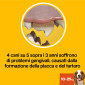 Immagine 3 - 112 Pedigree Dentastix Fresh Medium per l'igiene orale del cane - 4 Confezioni da 28 Stick