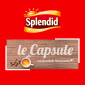 Immagine 2 - Splendid Caffè Espresso Ristretto Capsule in Alluminio Intensità 12 Compatibili con Macchine Nespresso - 40 Capsule