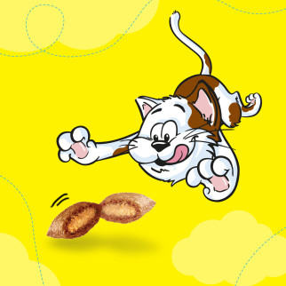 Snack al Pollo per Gatti - Confezione 350g Catisfactions