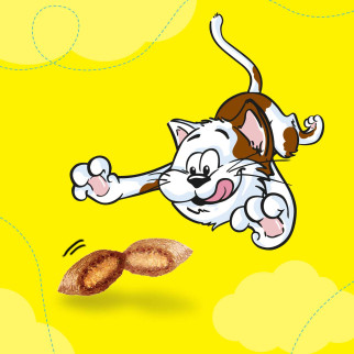 Snack al Formaggio per Gatti - Confezione 350g Catisfactions