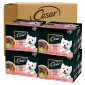 Immagine 1 - Cesar Selezione in Salsa Cibo per Cani con Gusti Assortiti - 96 Bustine da 100g