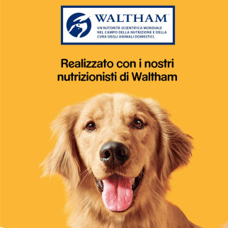 Biscotti Ripieni Carne Cani 500g Pedigree Markies