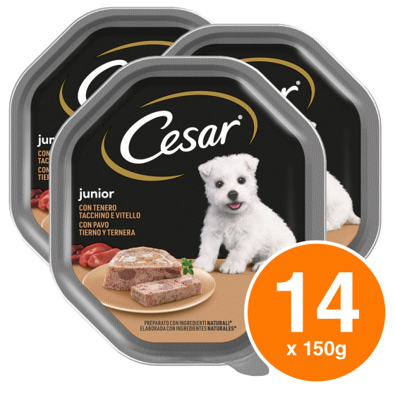 Cibo per Cani Junior con Vitello e Tacchino - 14 Vaschette Cesar Cibo per Cani Junior con Vitello e Tacchino - 14 Vaschette Cesar