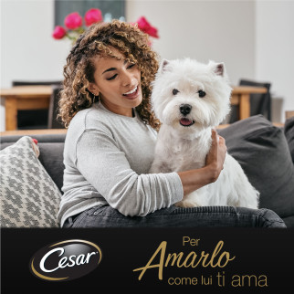 Cibo per Cani Selezioni dell'Orto con Manzo e Verdure Cesar 14x 150g