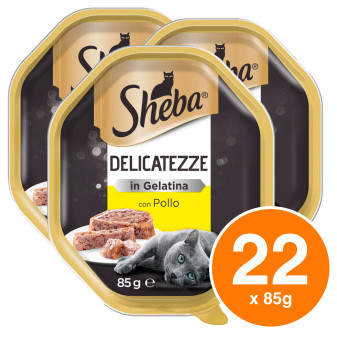 Sheba Delicatezze in Gelatina con Pollo Cibo per Gatti - 22 Vaschette da 85g