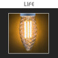 Immagine 6 - Life Lampadina LED E14 6,5W Candle C35 Candela Twist Filament in Vetro Trasparente - mod. 39.920113C27 / 39.920113N40