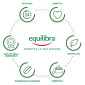 Immagine 3 - Equilibra Ginseng Tono ed Energia Integratore Alimentare con Vitamina B6 - Confezione da 60 Capsule