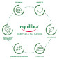 Immagine 3 - Equilibra Ginseng Tono ed Energia Integratore Alimentare con Vitamina B6 - Confezione da 60 Capsule [TERMINATO]