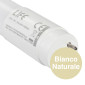 Immagine 3 - Life Tubo LED T8 G13 9W SMD Lampadina 60cm con Starter - mod. 39.968060C / 39.968060N / 39.968060F