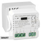 Life Modulo Relè Smart 1CH Ricevitore Interruttore ON/OFF Wi-Fi 2,4 GHz - mod. 39.9WI50201V1
