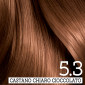 Immagine 5 - Franck Provost Tinta Permanente Riutilizzabile per Capelli con Trattamento di Bellezza Colore 5.3 Castano Chiaro Cioccolato