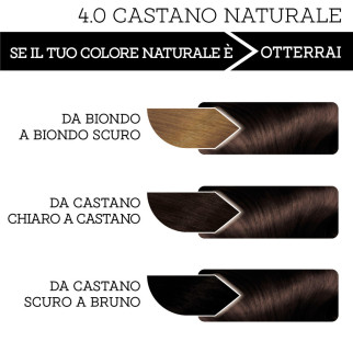 Franck Provost Tinta per Capelli Riutilizzabile  4.0 Castano