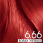 Immagine 5 - Franck Provost Tinta Permanente Riutilizzabile per Capelli con Trattamento di Bellezza Colore 6.66 Rosso Intenso