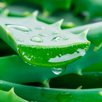 Garnier SkinActive Maschera Hydra Bomb Idratante Aloe Vera