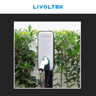 Wallbox 7,3kW Monofase Smart IP54 IK10 con Cavo Tipo 2 Livoltek