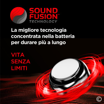 Udivita Batterie Protesi Acustiche Misura 10 Blister da 6