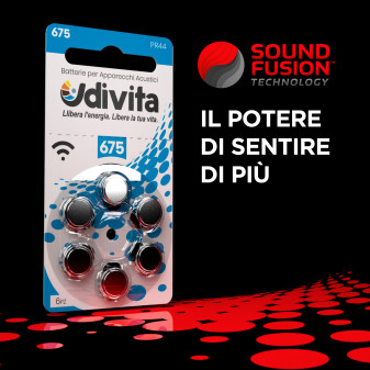 Udivita Batterie Protesi Acustiche Misura 675 Blister da 6