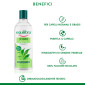 Immagine 4 - Equilibra Tè Verde Shampoo Purificante per Capelli Normali e Grassi 95% Ingredienti Origine Naturale - Flacone 300ml
