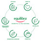 Immagine 5 - Equilibra Tè Verde Shampoo Purificante per Capelli Normali e Grassi 95% Ingredienti Origine Naturale - Flacone 300ml