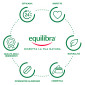 Immagine 5 - Equilibra Tè Verde Shampoo Purificante per Capelli Normali e Grassi 95% Ingredienti Origine Naturale - Flacone 300ml [TERMINATO]