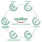 Immagine 8 - Equilibra Potassio & Magnesio 3 Formula Potenziata Integratore Alimentare Gusto Arancia - Confezione da 14 Bustine [TERMINATO]