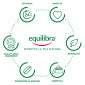 Immagine 3 - Equilibra Ricino Olio Vegetale per Capelli Unghie Sopracciglia Nutrimento e Lucentezza - Flacone da 100ml