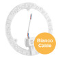 Immagine 2 - Life Modulo LED Circolina 24W SMD Ø215mm a Disco per Plafoniere con Driver - mod. 39.942424C30 / 39.942424N40