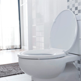 Igiene Totale Gel 5 Azioni Disinfettante Elimina Calcare 700ml WC Net