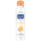 Immagine 1 - Neutro Roberts Asciutto Cedro e Vaniglia Deodorante Spray 48h con Puro Olio di Glicerina Zero Alcol - 150ml [TERMINATO]