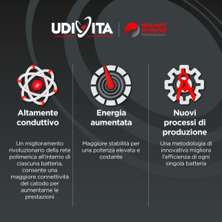 Udivita Batterie Protesi Acustiche Misura 10 Blister da 8