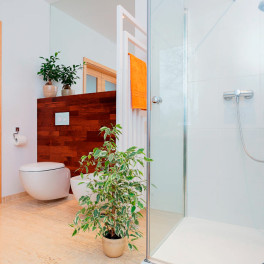 Spray Bagno Disinfettante Anticalcare Presidio Medico Chirurgico Citrosil
