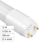 Kanlux Tubo LED T8 G13 12W SMD Lampadina 120cm in Vetro con Starter - mod. 33216 / 33217