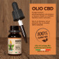 Immagine 3 - Primitiva Olio CBD 30% Estratto di Canapa Naturale ad Ampio Spettro Antinfiammatorio e Analgesico Multiuso - Flacone da 10ml