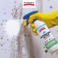 Immagine 5 - Tecnostuk Muffaclean Active Detergente Igienizzante Antimuffa Antifungino Inodore con Applicatore Spray - Flacone da 250ml