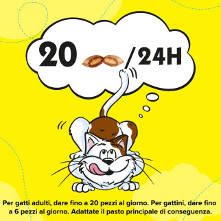Acquista Catisfactions Snack al Salmone per Gatti