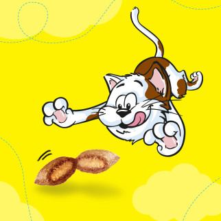 Snack al Pollo per Gatti Catisfactions - Confezione 60g